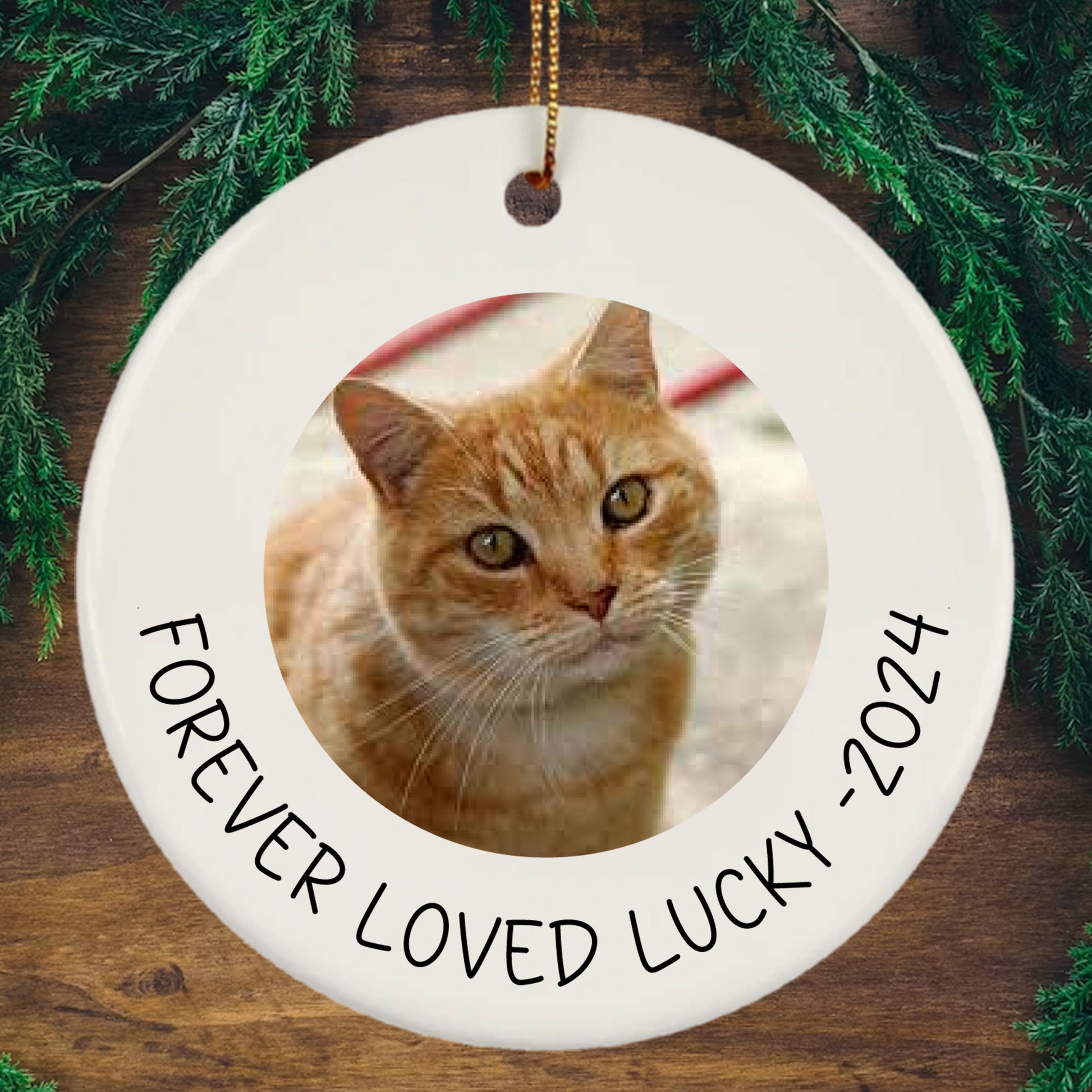 Personalized Porcelain Cat Forever Loved Lucky 2024 Cat Lover Ornament