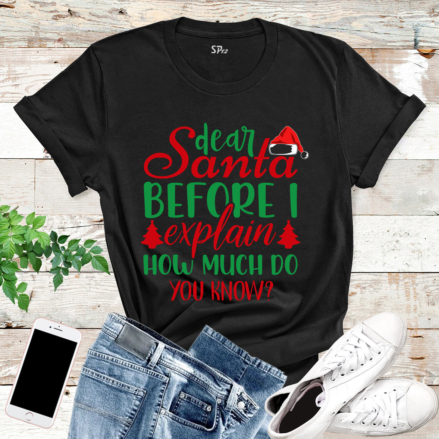 Dear Santa Before I Explain How Much Do You Know T Shirt