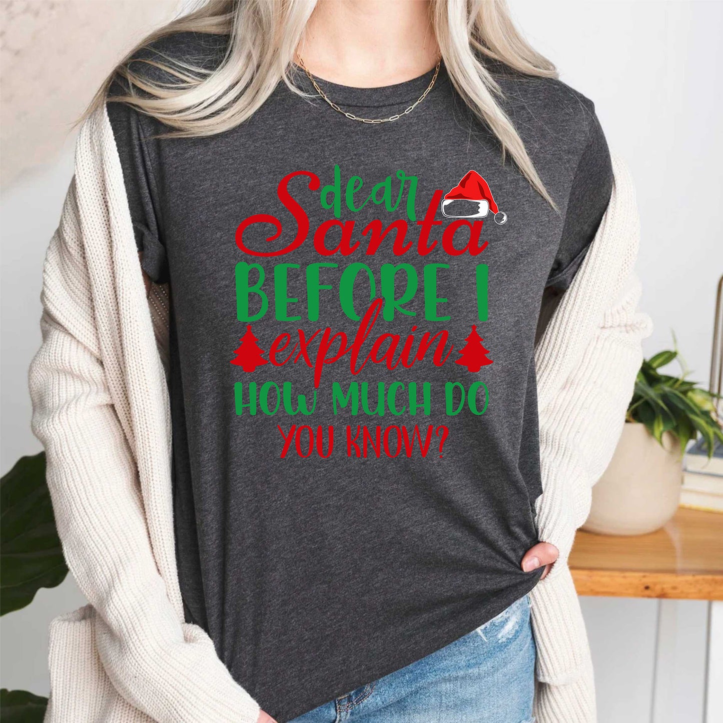 Dear Santa Before I Explain How Much Do You Know T Shirt