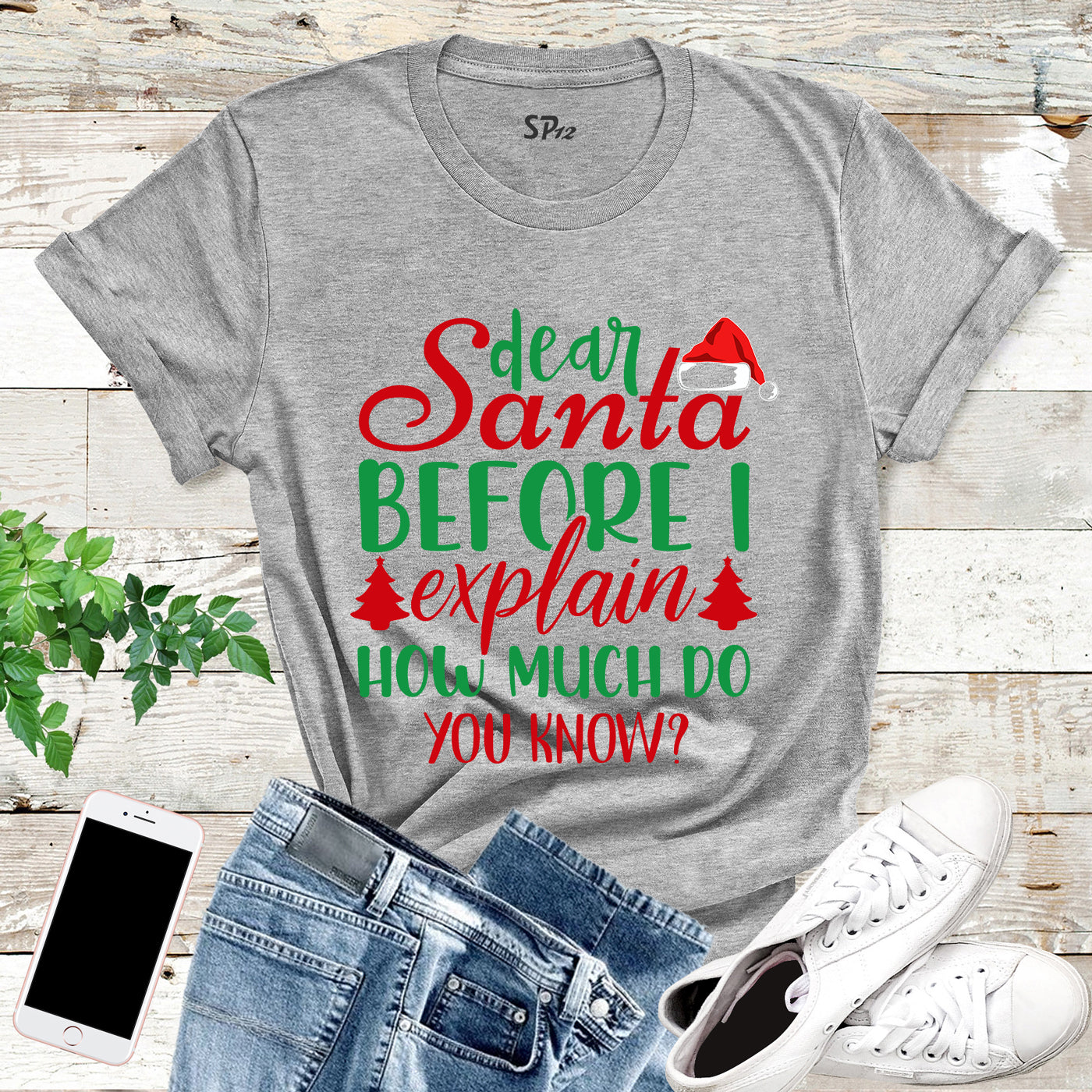 Dear Santa Before I Explain How Much Do You Know T Shirt