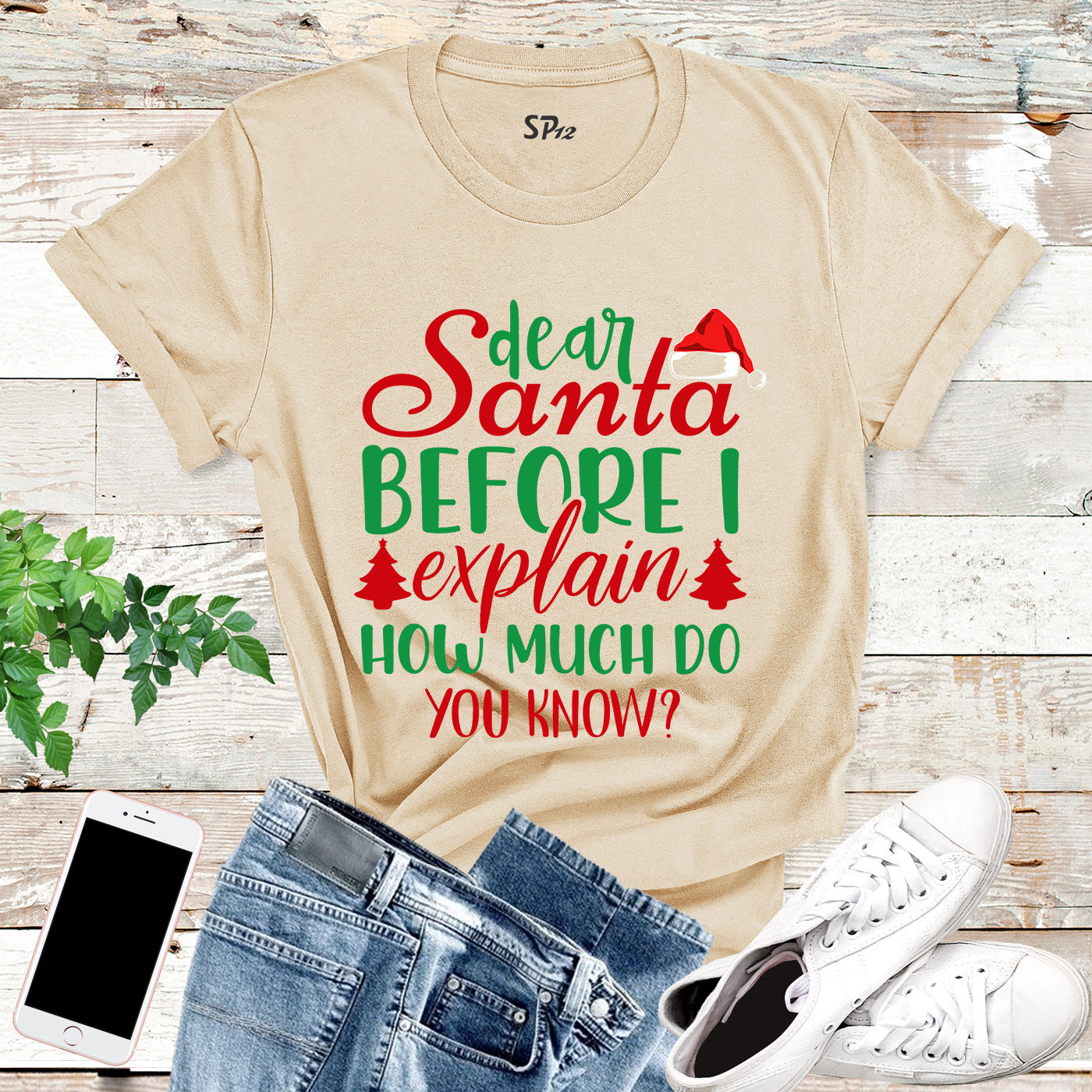 Dear Santa Before I Explain How Much Do You Know T Shirt