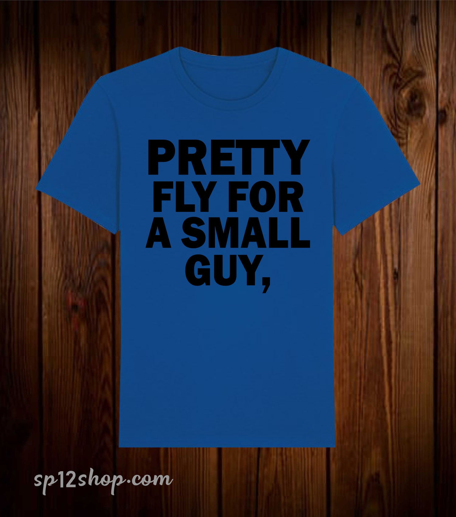 Pretty Fly For a Small Guy Gamer T Shirt